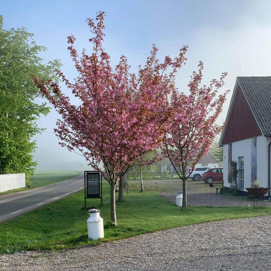 Peppinge Bed & Breakfast Löderup Kültér fotó